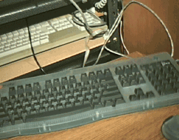 STf & iMac keyboards.GIF